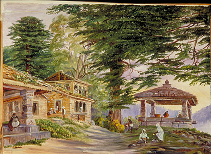 cedus deodara in Kumaon, Himalayas painting at London Kew Gardens
