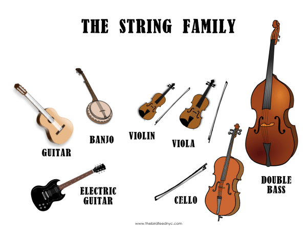 The-String-Family-The-Bird-Feed
