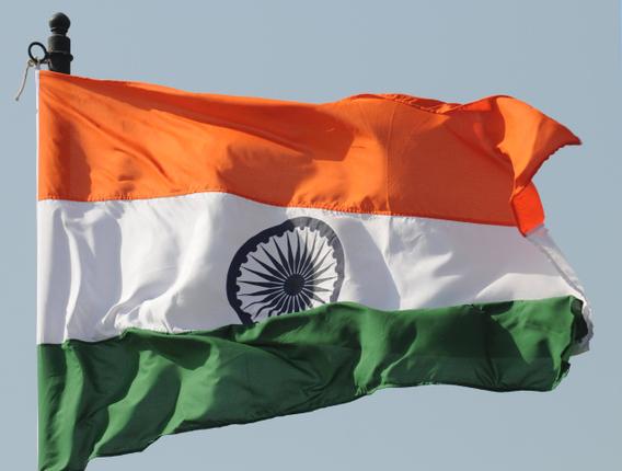 13YT_TRICOLOUR_2_1549185g