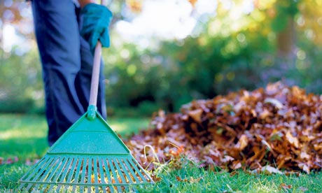Person-raking-leaves-in-g-002