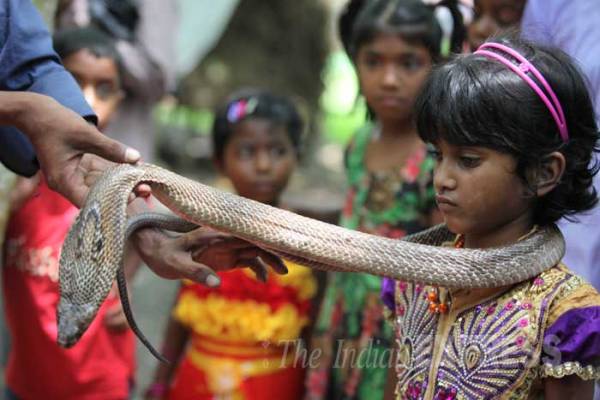 B_Id_411194_manasa-goddess-1