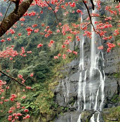 naimisaranya-pKS-543020