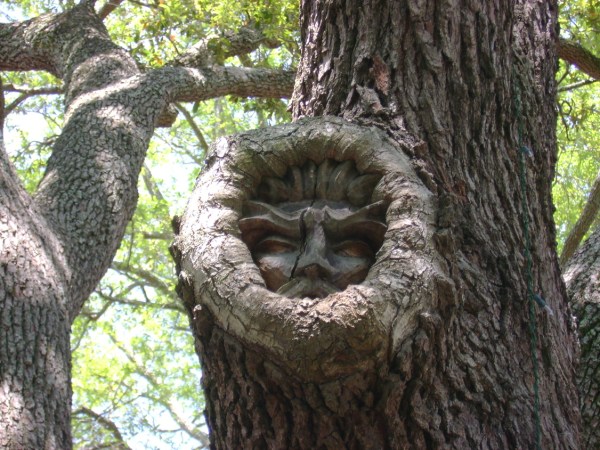 tree spirit