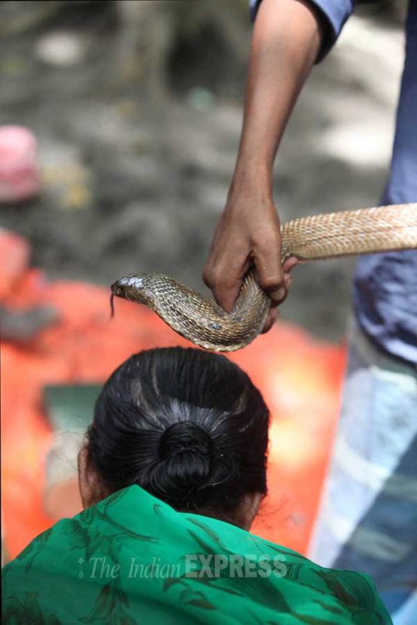 B_Id_411182_manasa-puja-2