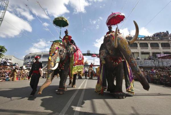 jumbo_ELEPHANT_1618815g