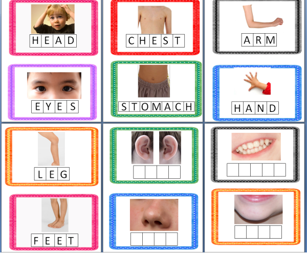 bodypartsadaptivebook