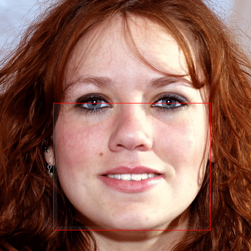 female-face-for-golden-ratio
