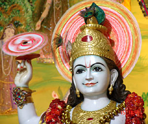 ChakraofVishnu_14179