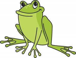 frog-300x230