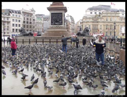 trafalgar sq