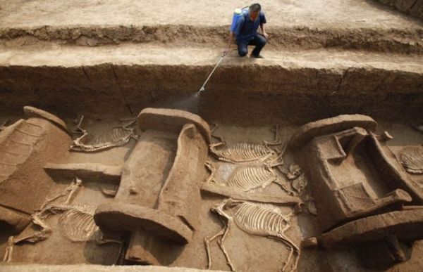 horse and chariot burial 3000 year Western Zhou dynasty 2011 Luoyang