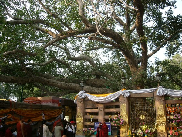 mahabodhi
