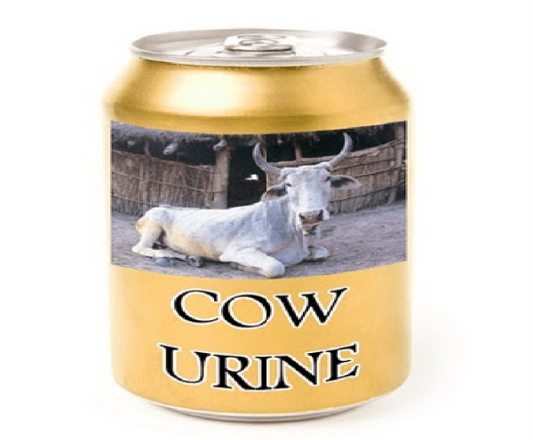 cow urine cola