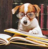 dog-with-books-and-glasses