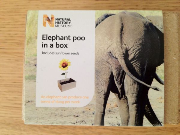 elephant-poo-11