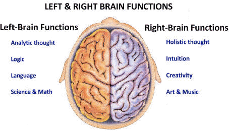 left_verse_right_brain
