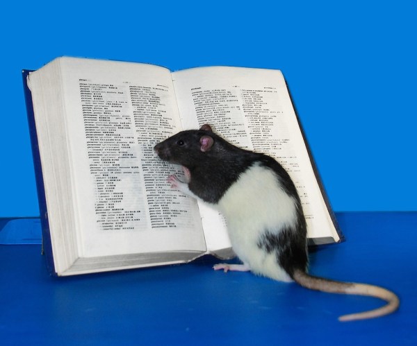 Rat-reading