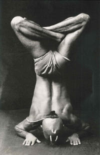 about_krishnamacharya