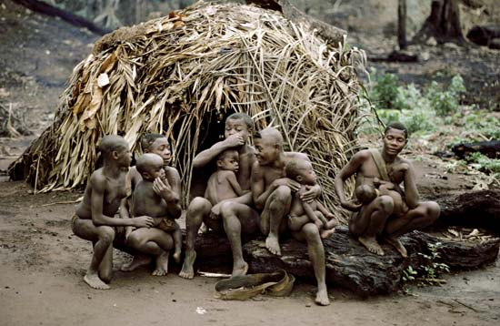 pygmies of central africa