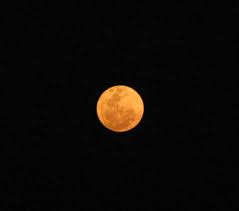 மாசி நிலா