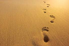 foot steps