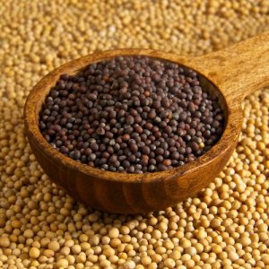Mustard-Seed