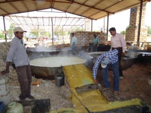 the-boiled-sugarcane-