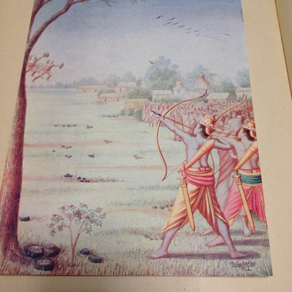 img_2770.jpg (2448×2448)