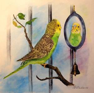 mirror parrot