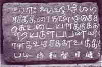tamil in china