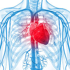 heartrelatedproblems