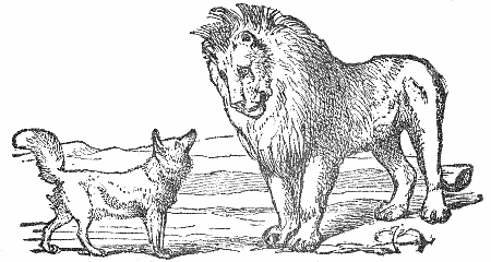 lion and fox