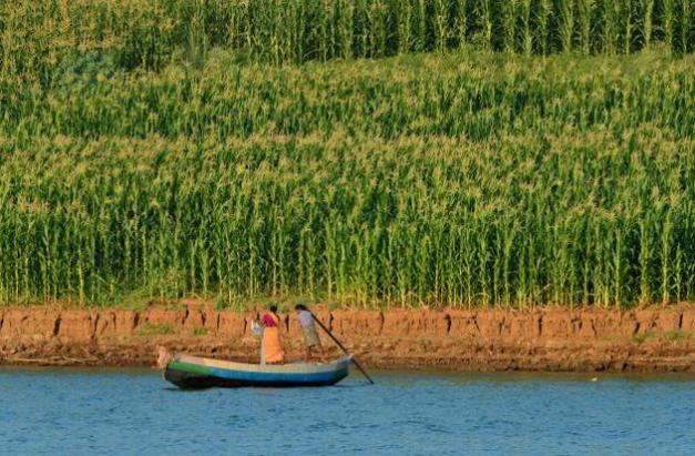 29VZMP_PAPIKONDALU_2294921g