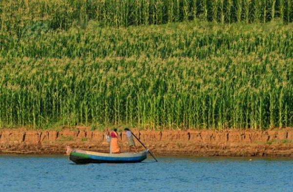 29VZMP_PAPIKONDALU_2294921g