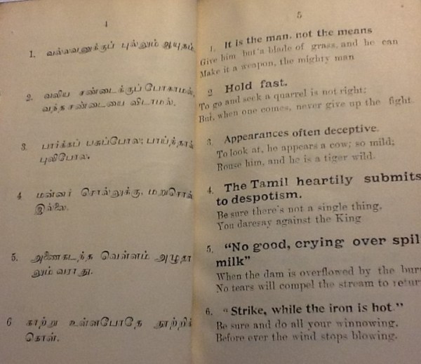 IMG_3525 (2) - Copy - Copy - Copy