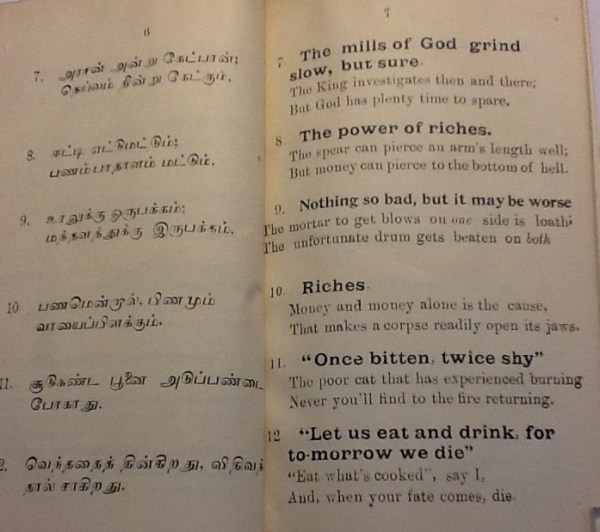 IMG_3526 (2) - Copy - Copy - Copy