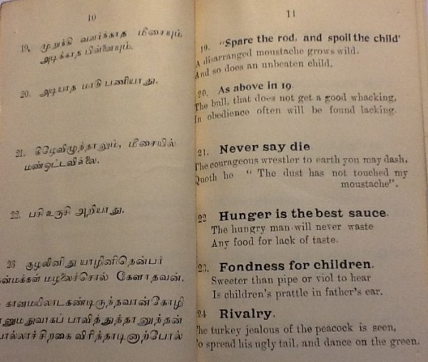 IMG_3528 (2) - Copy - Copy