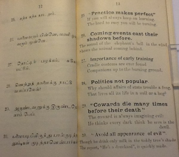 IMG_3529 (2) - Copy - Copy