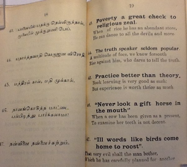 IMG_3532 (3) - Copy - Copy