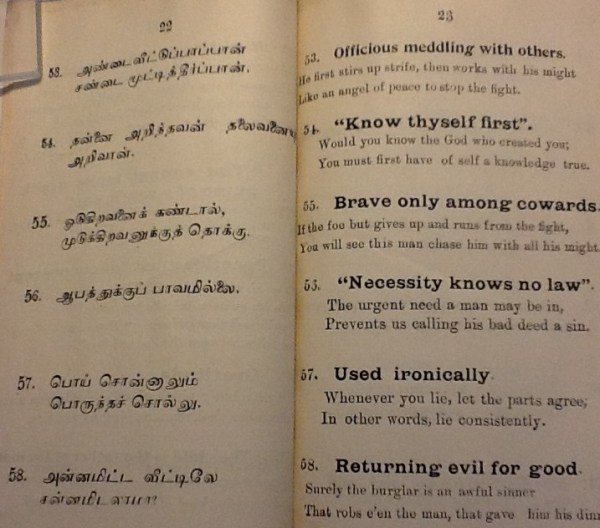 IMG_3534 (2) - Copy - Copy - Copy