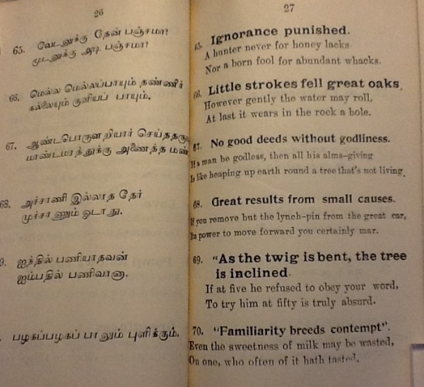 IMG_3536 (2) - Copy - Copy