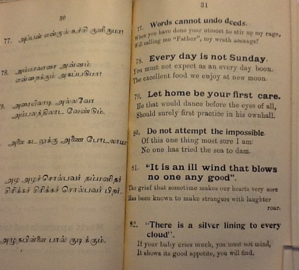 IMG_3538 (2) - Copy - Copy