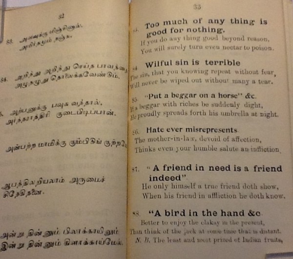 IMG_3539 (2) - Copy - Copy