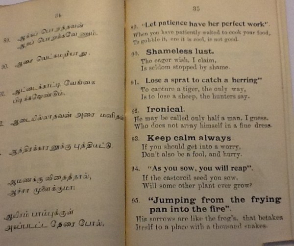 IMG_3540 (2) - Copy - Copy