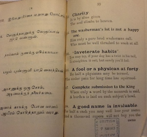 IMG_3542 (2) - Copy - Copy