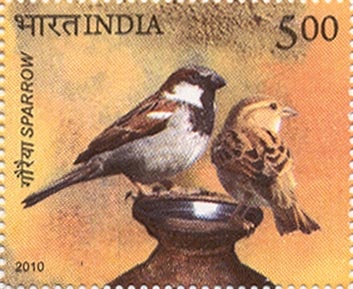 India-Stamp1713-Sparrow
