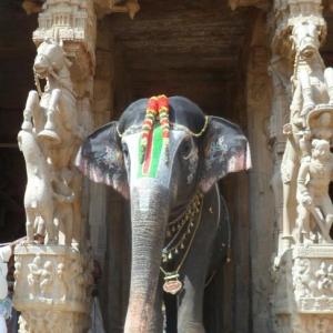 yanai nama srirangam