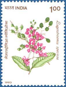 1993-Pride_of_India_Tr