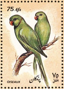 Afghanistan-stamp790parrots