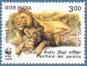 India-stamp5886asiatic-lion-lioness